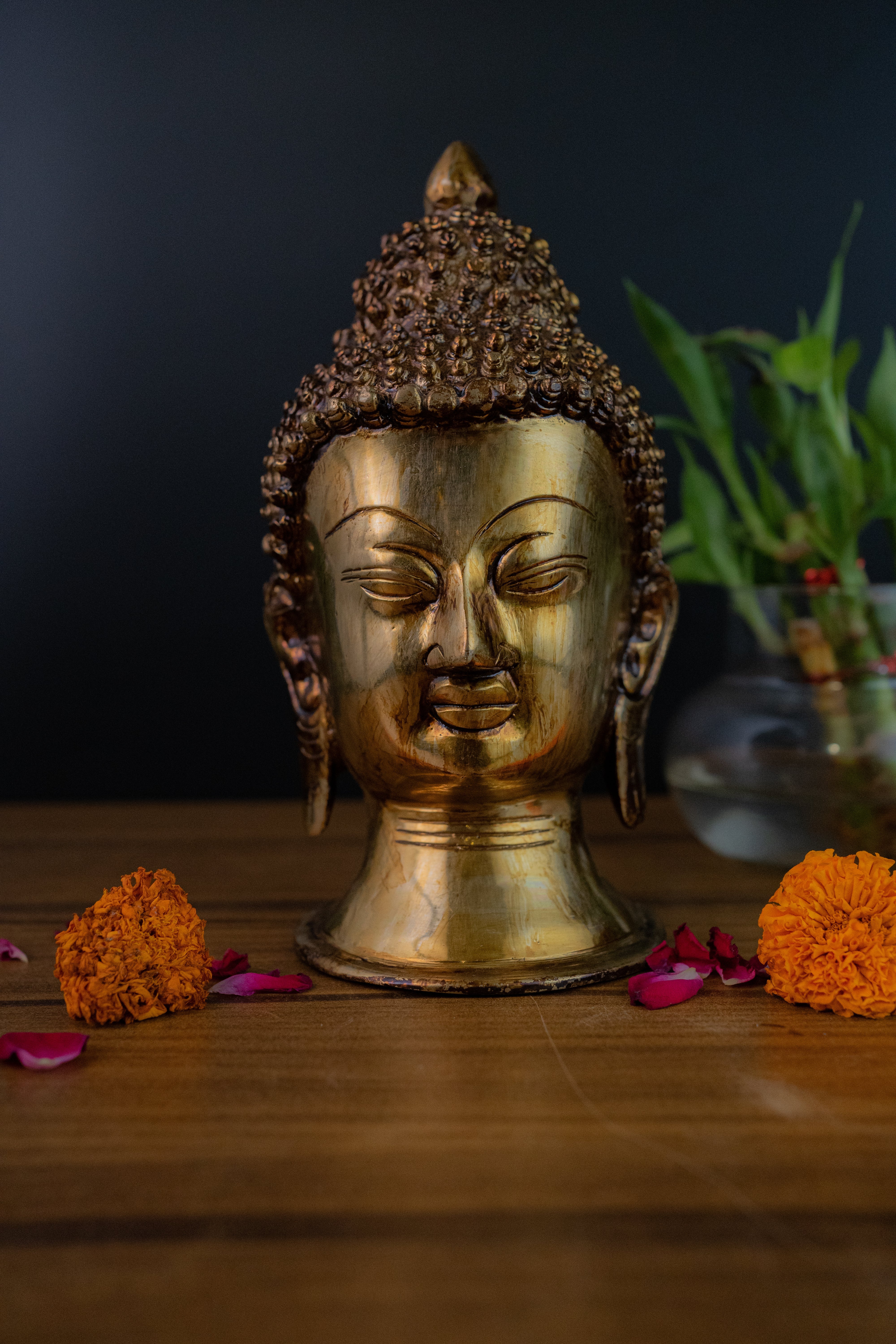 Superfine Brass Buddha Head - 8.5" Height