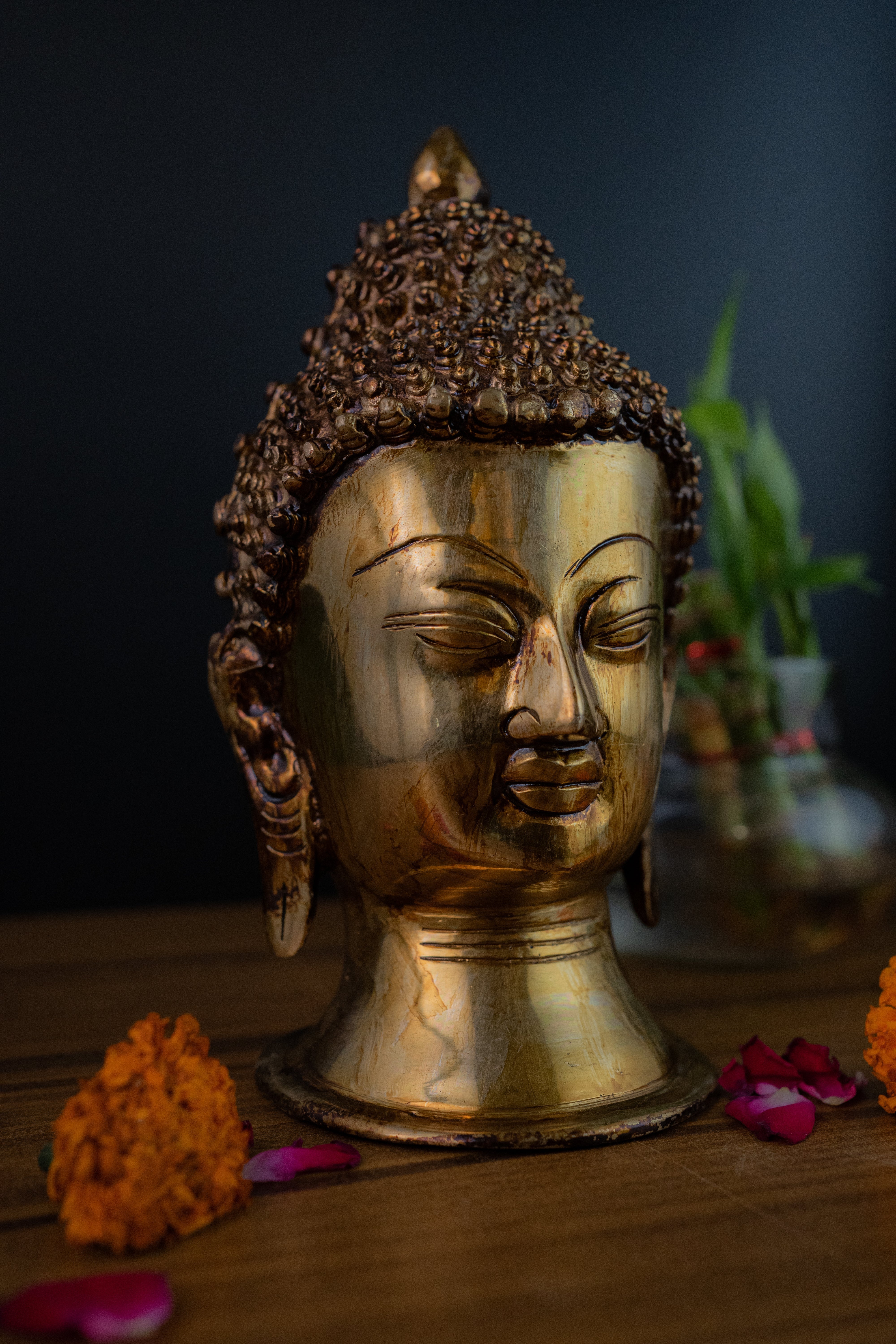 Superfine Brass Buddha Head - 8.5" Height