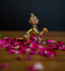 Little Krishna - Cute Laddu Gopal Idol
