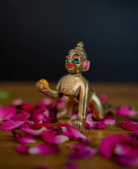Little Krishna - Cute Laddu Gopal Idol