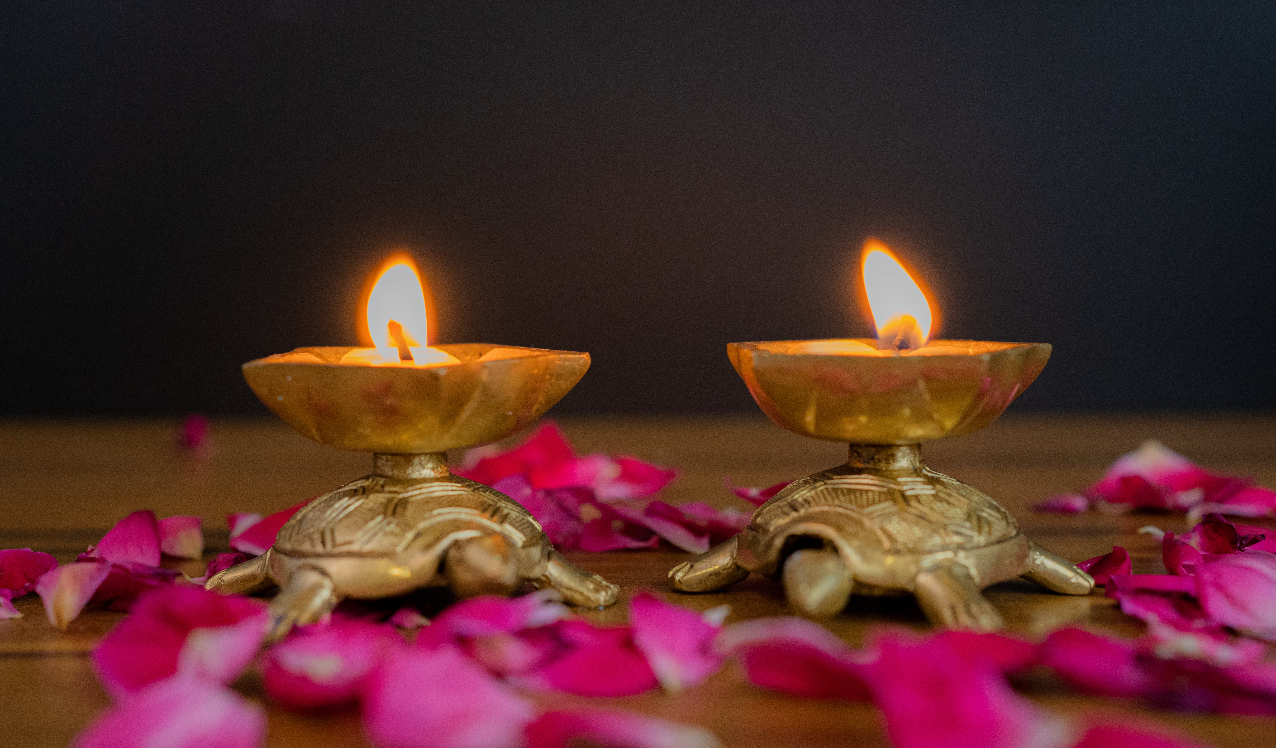 Sacred Brass Turtle Diya  – Auspicious Pooja Oil Lamps for Prosperity & Divine Light