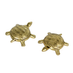 Brass turtle Miniature Pair